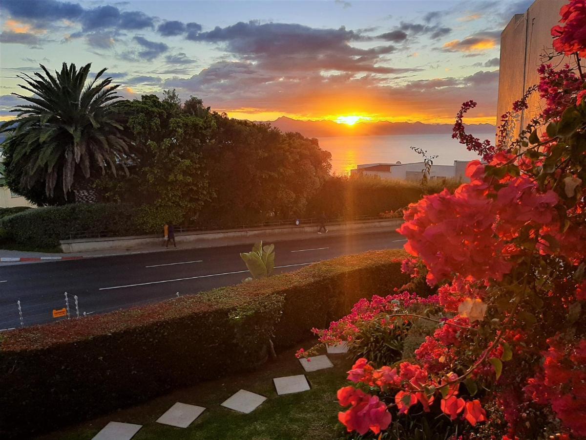 Arrowood 2 Apartment Plettenberg Bay Ngoại thất bức ảnh